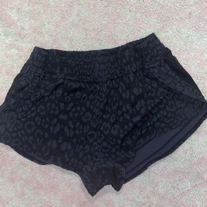 Black leopard shorts